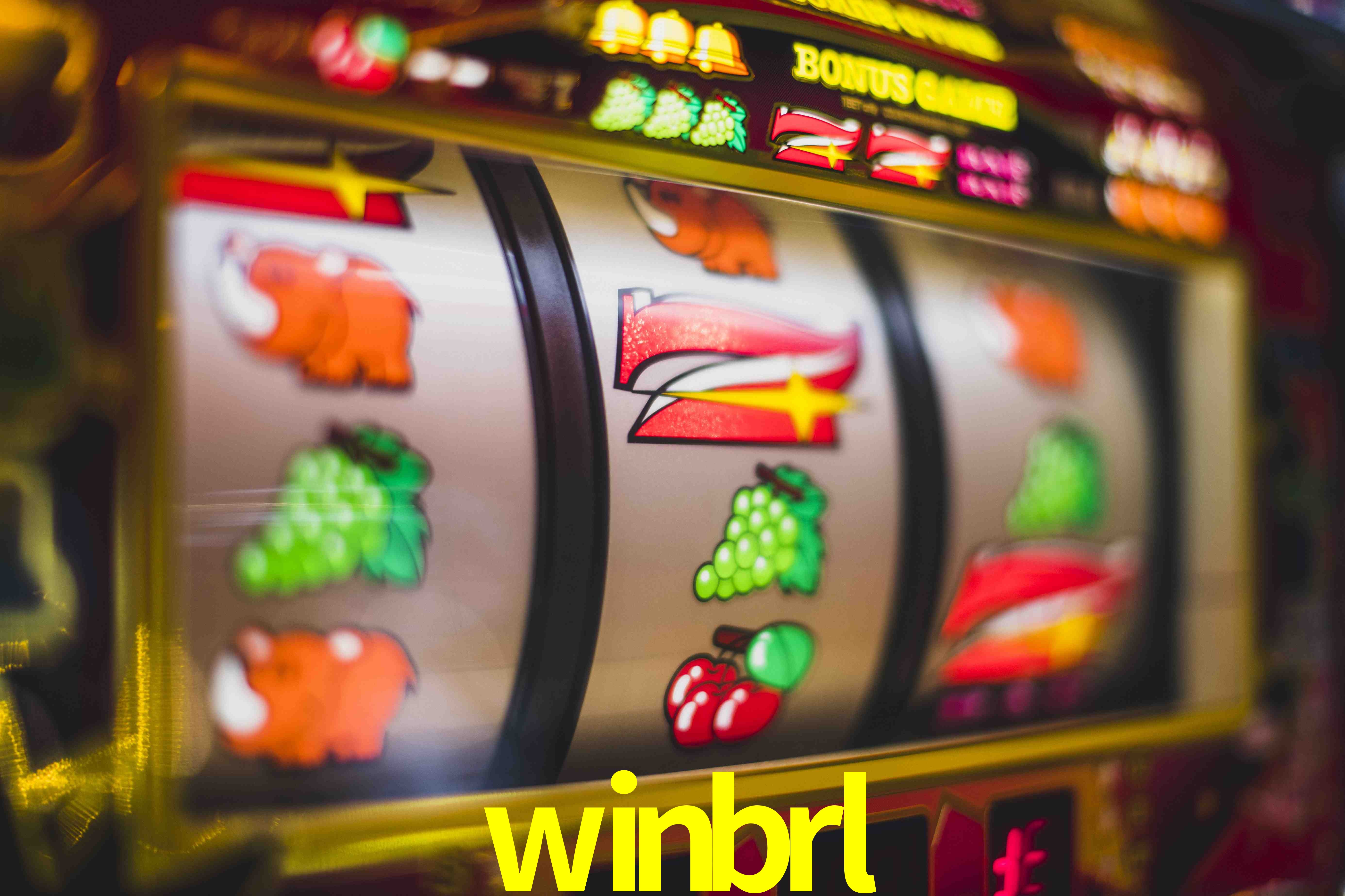 Statistics winbrl